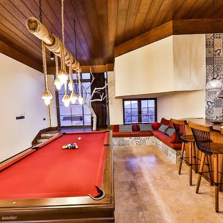 Villa Rubick - *