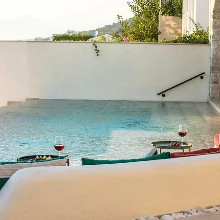 Villa Rubick - *